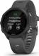 Zegarek sportowy Garmin Forerunner 245 Szary  (010-02120-10) 1