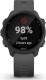 Zegarek sportowy Garmin Forerunner 245 Szary  (010-02120-10) 4