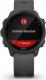 Zegarek sportowy Garmin Forerunner 245 Szary  (010-02120-10) 5