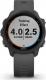 Zegarek sportowy Garmin Forerunner 245 Szary  (010-02120-10) 6