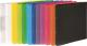 Segregator Pagna 2-ringowy A4 16mm przezroczysty (20901-19) 1