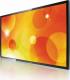 Monitor Philips Q-line 43BDL3010Q/00 2