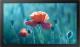 Monitor Samsung Smart Signage QB13R (LH13QBREBGCXEN) 1