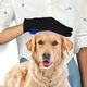Pets Collection Rękawica szczotka do czesania wyczesywania sierści uniwersalny 4