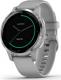 Zegarek sportowy Garmin Vivoactive 4S Szary  (010-02172-03) 1