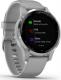 Zegarek sportowy Garmin Vivoactive 4S Szary  (010-02172-03) 3
