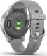 Zegarek sportowy Garmin Vivoactive 4S Szary  (010-02172-03) 5