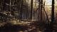 Blair Witch Xbox One 2