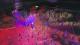WildStar PC 8