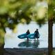 Jobe Paddleboard z akcesoriami Jobe Aero SUP Duna 11.6 - model 2019 19