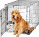 Panama Pet Panama Pet miska dla ptaków 1,8 l z uchwytem zaciskowym 4