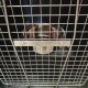 Panama Pet Panama Pet miska dla ptaków 1,8 l z uchwytem zaciskowym 7