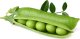 Click And Grow Click and Grow refill zielony groszek 3-pak 1
