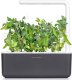 Click And Grow Click and Grow refill zielony groszek 3-pak 3
