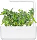 Click And Grow Click and Grow refill zielony groszek 3-pak 4