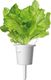 Click And Grow Refill sałata 3-pak 4
