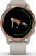 Zegarek sportowy Garmin Venu Beżowy  (010-02173-23) 5