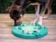Outward Hound Nina Ottosson Dog Worker Green - gra edukacyjna [69541] 5