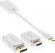 Adapter USB InLine USB-C - DisplayPort Biały  (64109S) 1
