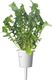 Click And Grow Refill rukola 3-pak 1