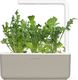 Click And Grow Refill rukola 3-pak 5