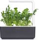 Click And Grow Refill rukola 3-pak 6