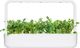 Click And Grow Refill rukola 3-pak 8