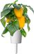 Click And Grow Click and Grow refill żółta papryka 3-pak 5