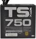 Zasilacz XFX TS 750W (P1-750G-TS3X) 4