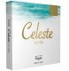 Filtr Kenko Kenko Filtr Celeste C-PL 77mm 1