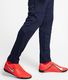 Nike Nike Park 20 spodnie treningowe 410 : Rozmiar - L (BV6877-410) - 21787_189111 5