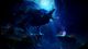 Ori and the Will of the Wisps Xbox One 3