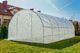 Funfit Szklarnia 600 cm x 300 cm x 200 cm 4