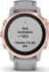 Zegarek sportowy Garmin Fenix 6S Szary  (010-02159-21                   ) 2