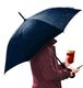 Platinet PLATINET UMBRELLA C HANDLE SEMI AUTO POLYESTER BLUE 45007 2