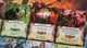 Portal Games Gra planszowa Mage Knight Ultimate Edition 2