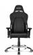 Fotel AKRacing Premium V2 (AK-7002-BB) 5