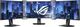 Asus Zestaw bezramowy ABF01 1