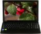 Laptop Toshiba SATELLITE C55-A-1NV (PSCGNE-00300GPL) 1