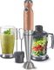Blender Sencor SHB 5606GD-EUE3 1