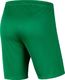 Nike Spodenki męskie Park III zielone r. XL (BV6855 302) 2