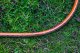 Neo Wąż ogrodowy Professional 3/4" 20m 6-warstwowy (15-843) 6