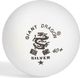 Giant Dragon Piłeczki do ping ponga Silver Star* 6 sztuk (8331) 1