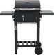 vidaXL 44280 Grill ogrodowy węglowy 32 cm x 43 cm 1