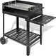 vidaXL 40714 Grill ogrodowy węglowy 70 cm x 50 cm 1