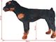 vidaXL Pluszowy rottweiler, stojący, czarno-brązowy, XXL 4