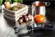 Royal Catering Mocny mikser blender robot ręczny dł. ramienia 250mm 350W 230V Royal Catering 2