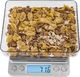 Steinberg Waga precyzyjna jubilerska SBS-TW-500/10 do 500g / 0,01g Waga precyzyjna laboratoryjna SBS-TW-500/10 do 500g / 0,01g 5