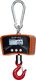 Steinberg Waga hakowa podwieszana rolnicza handlowa LCD do 300kg Waga hakowa podwieszana rolnicza SBS-KW-300/100 LCD do 300kg 2