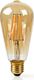 Nedis Nedis Wi-Fi Smart LED Filament Bulb | E27 | ST64 | 5W | 500 lm 1